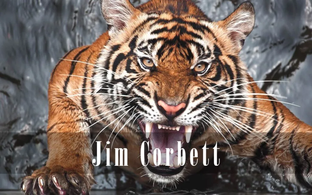 Jim Corbett: Best NDA Coaching in Lucknow