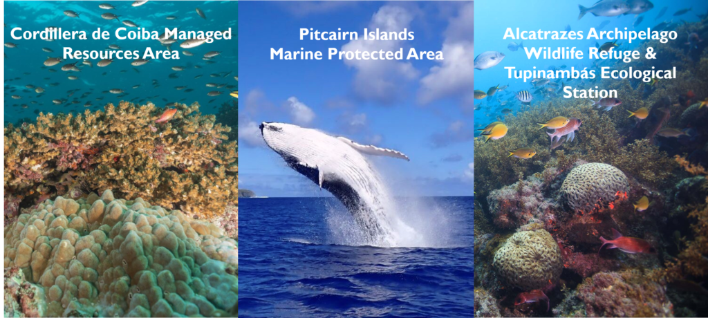 Preservation and Protection of Marine Environment