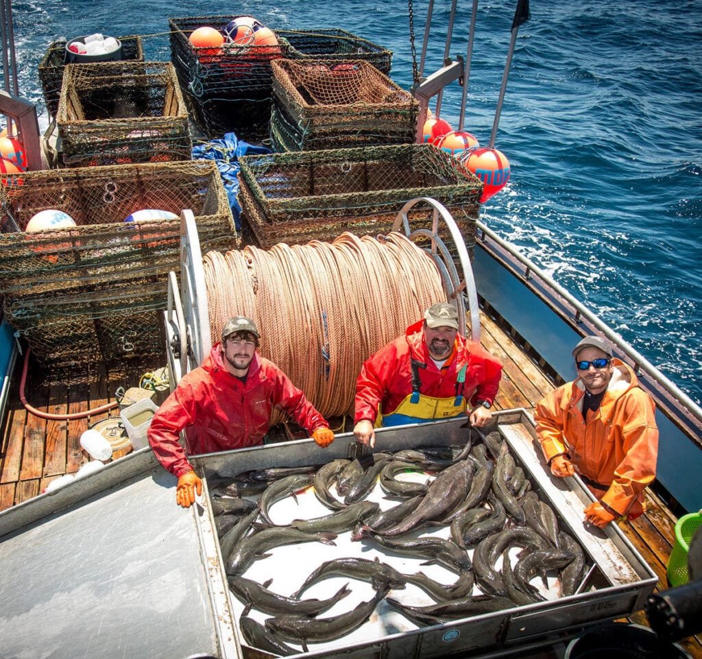 Protection of Fishermen